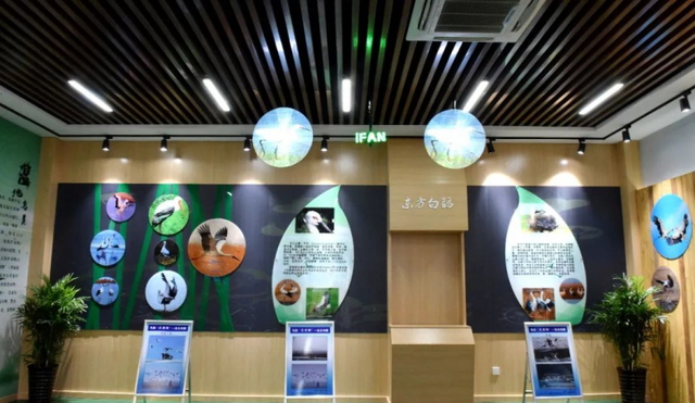 展館設(shè)計(jì) ， 展館 ， 鑫時(shí)空