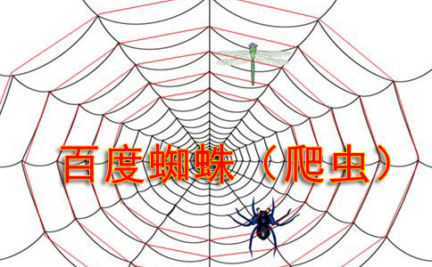 提升網(wǎng)站可見性的關(guān)鍵策略